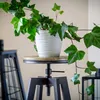Cremefarbener Blumentopf aus Kunststoff mit Untertasse Produktbild-Vorschau 12