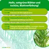 Purgrün Goldfruchtpalme-Dünger 1 Liter, Produktbild-Vorschau 3
