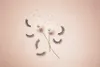 Ardell Naked Lashes 421 Noir - Cils artificiels discrets Voir les images du produit 2