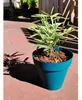 Vaso con fiori, Riviera Blue O 55 cm, 3580794160069 Anteprima dell’immagine prodotto 1