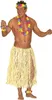 A man wearing a Hawaiian costume. Anteprima dell’immagine prodotto
