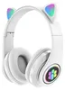 APT ZS7E Bezdrátová sluchátka Cat s tlapkou Bluetooth 5.0 Náhled obrázku produktu 1