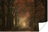 MuchoWow® Poster Waldweg - Herbst - Wald - Bäume und Produktbild-Vorschau 1