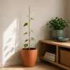 KADAX Bambusowe paliki 90 cm x 6 mm, zestaw 200 sztuk, Podgląd zdjęcia produktu 2