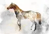 Selbstklebende Folie Fototapete - Fiery Steed 147x105 cm Produktbild-Vorschau 5