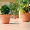 Three potted plants on a tiled surface, with the foreground pot in focus. Náhľad obrázku produktu