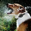 Hundetrainingshalsband, universell, 2 Kanäle, Produktbild-Vorschau 6