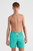 OŽNEILL VERT 16'' SWIM SHORTS Sea Green XL Produktbild-Vorschau 8
