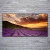 Acrylglasbilder 120x60 Wandbild Druck Gebirge Wiese Blumen Produktbild-Vorschau 2