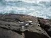 DJI Lito X1 Fly More Combo, 4 Rotoren, 48 MP, 21000 m, Produktbild-Vorschau 11