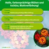 Purgrün Wandelröschen-Dünger 1 Liter, Produktbild-Vorschau 3