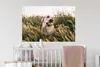 MuchoWow® Wandtattoo Wandsticker Wandaufkleber Labrador Produktbild-Vorschau 5