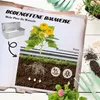 Jardinière surélevée Outsunny en métal, jardinière à deux Voir les images du produit 5