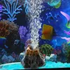 Aquarium-Vulkanform & Blasenstein, Sauerstoffpumpe, Produktbild-Vorschau 6