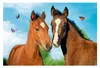TREFL Puzzle Animali carini: Gattini 54 pezzi Anteprima dell’immagine prodotto 4