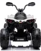FINOOS Kinderquad Kinder Elektro-Quad, CAM-AM RENEGADE 24V Produktbild-Vorschau 5