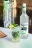 Monin 362350, Dezertný sirup, Mojito mäta, 700 ml, Fľaša, Náhľad obrázku produktu 6