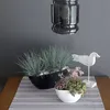 Two potted plants and a decorative bird are arranged on a striped runner on a wooden table, with a pendant light fixture overhead. Anteprima dell’immagine prodotto