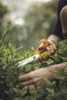 Fiskars 111050 - Erwachsener - Eins - Orange - Edelstahl - Anteprima dell’immagine prodotto 10