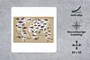 MuchoWow® Mauspad Mousepad Weltkarte Kinder - Weiß - Tiere Produktbild-Vorschau 2