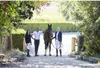 Veste de concours Ekkia EQUITHÈME femme noire avec or rose, Voir les images du produit 9