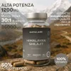 Capsule di Shilajit Aavalabs | 50% di acido fulvico | Anteprima dell’immagine prodotto 2