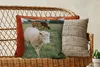 MuchoWow® Zierkissen Sofakissen Wohnzimmer Dekokissen 45x45 Produktbild-Vorschau 5