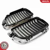 ESEN SKV 66SKV079 Kühlergrill Frontgrill für BMW 3 Produktbild-Vorschau 6