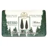 Nesti Dante Cipresso (250 gr) Produktbild-Vorschau 5