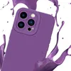 Cadorabo Hülle für Apple iPhone 14 PRO MAX Schutz Hülle in Produktbild-Vorschau 3