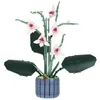 A close-up studio shot of a building block orchid flower set in a blue pot. Náhľad obrázku produktu