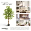 tectake® Künstlicher Ficusbaum Fida verschiedene Größen Produktbild-Vorschau 6