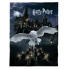 A snowy owl flies towards the viewer over a body of water with many small boats lit by candles, with Hogwarts castle in the background under a dark, cloudy sky. Produktbild-Vorschau