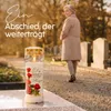 HOFER Grafkaarsen, 7 dagen brandduur, met afbeelding en Productafbeelding-voorbeeld 7