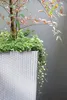 Blumentopf + Einsatz Blumenkübel Rattan RATO SQUARE DRTS170 Produktbild-Vorschau 19