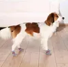 Trixie Hundesocken - Grau - XXS-XS Produktbild-Vorschau 4