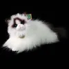 RAGDOLL PUSSION MASCOT, Chat réaliste, exactement comme le Voir les images du produit 5