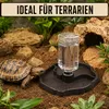 2-in-1 Reptilien-Wasser- und Futternapf mit Wasserflasche, Produktbild-Vorschau 4