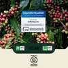 CUP VERDE – 80 nachhaltige Kaffeekapseln MIXPAKET Produktbild-Vorschau 6