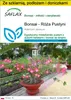 SAFLAX - Zestaw do uprawy - Bonsai - Róża Pustyni - 8 Podgląd zdjęcia produktu 1