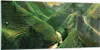Bilder auf glas - Einteilig - Klappe Reis Vietnam - Produktbild-Vorschau 1