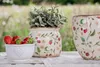 Clayre & Eef Doniczka Ø 18x18 cm Beżowo-czerwone ceramiczne Podgląd zdjęcia produktu 3
