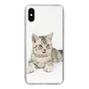 MuchoWow® Handyhülle Schutzhülle Hülle für iPhone Xs Kitten Produktbild-Vorschau 1