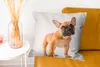 MuchoWow® Zierkissen Sofakissen Wohnzimmer Dekokissen 50x50 Produktbild-Vorschau 6