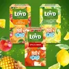 Loyd Hot’N Cold - Porzeczka i Hibiskus - Ekspresowa Herbata Podgląd zdjęcia produktu 9