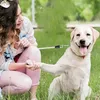 FinoPet Hundeleine große Hunde und mittelgroße bis 55 KG, Produktbild-Vorschau 9