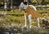Hurtta HU-934532, Hund, Pullover, Braun, Stoff, Einfarbig Produktbild-Vorschau 6