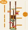 Arbre à chat réglable en hauteur, design stable, Voir les images du produit 2