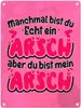 Manchmal bist du echt ein Arsch Metallschild in 15x20 cm Produktbild-Vorschau 1