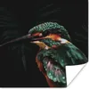 MuchoWow® Poster Eisvogel - Vogel - Grün 100x100 cm - Produktbild-Vorschau 1